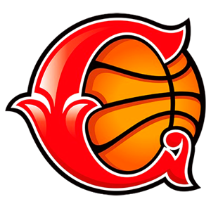 库尔斯克迪纳摩女篮